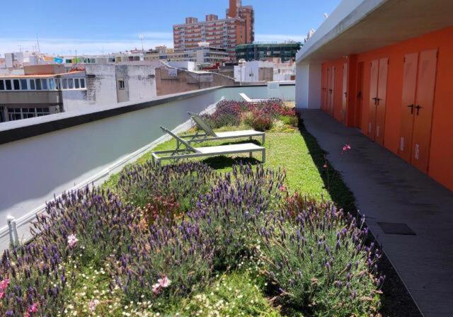 라스팔마스 Zen Garden 아파트 외부 사진